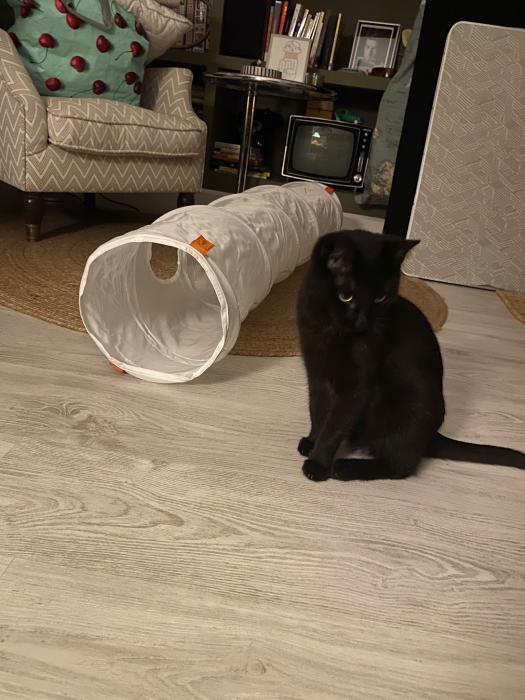 Mau
