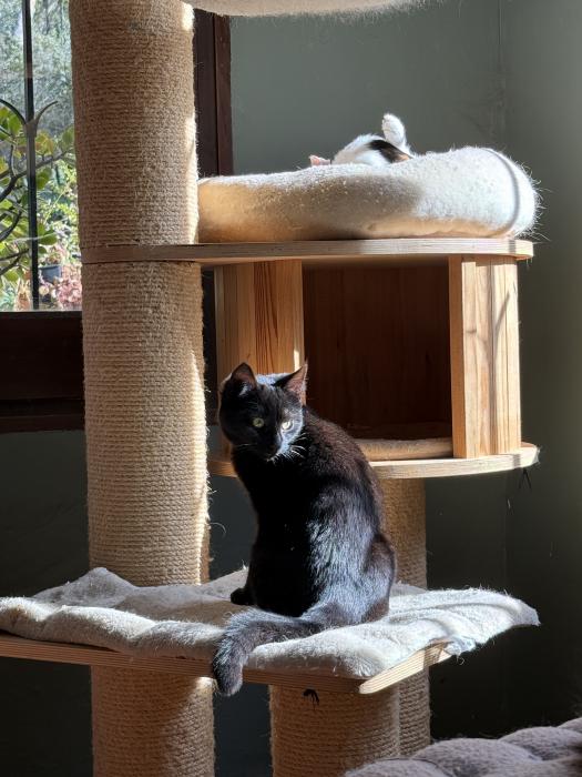 Mia