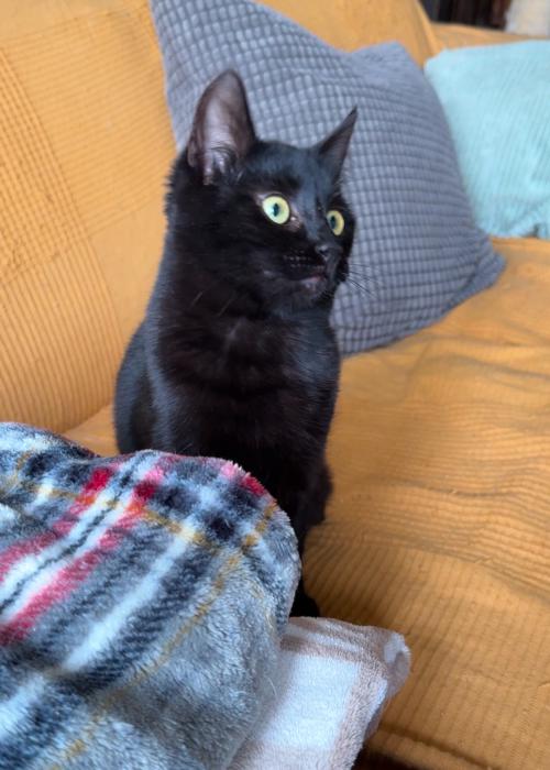 Mia